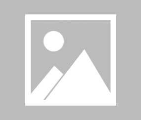 DRX发文：LazyFeel将成为第一位在LCK联赛登场的外国选手